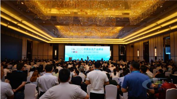 2020中国水泥产业峰会暨TOP100颁奖典礼现场