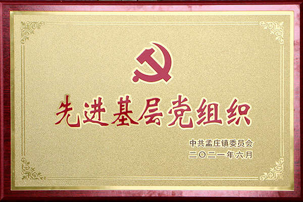*基层党组织 *基层党组织