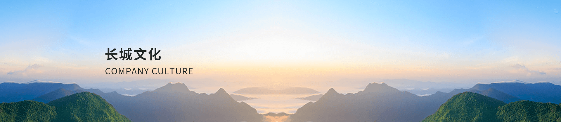 banner-wenhua 365电竞-不凡成就非凡,相信品牌的力量