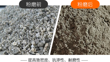 365电竞-不凡成就非凡,相信品牌的力量